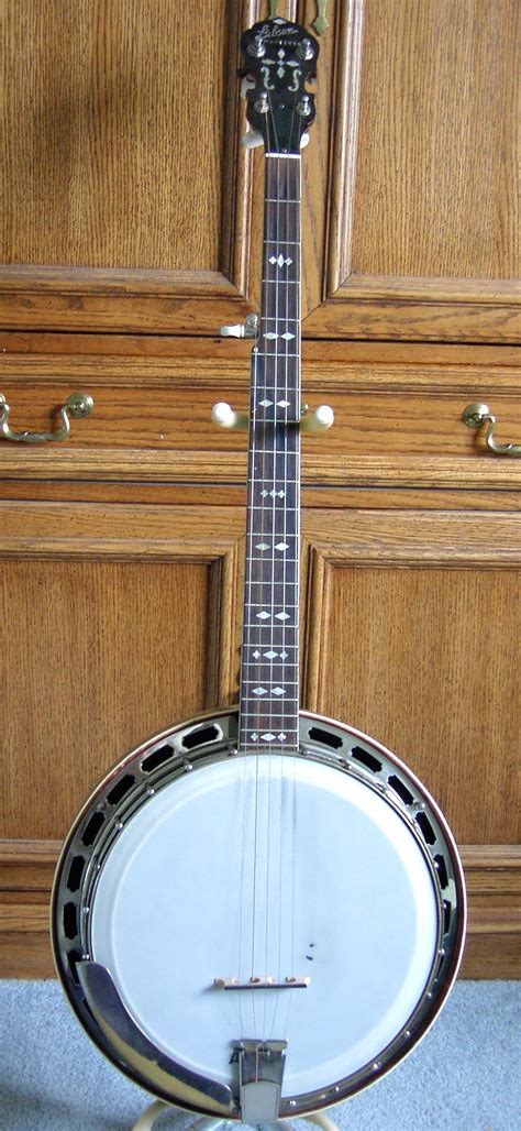 Banjo, Music instruments, Guitar