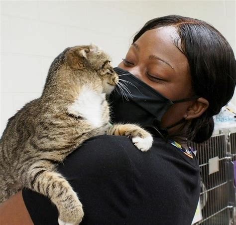 20+ Incredible Pet Adoption Stories That Will Brighten Up Your Day