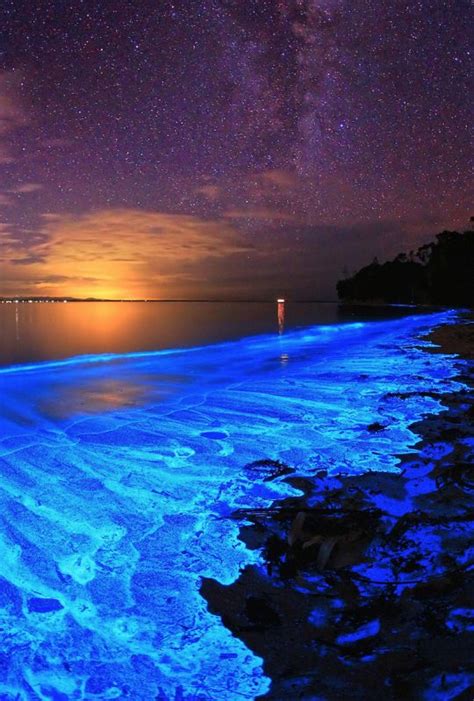 Phosphorescence ~ Everyone should experience the magical glow in the oceans from this phenomenon ...