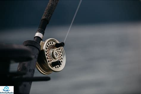 Best Spinning Reels- Elevate Your Fishing Experience