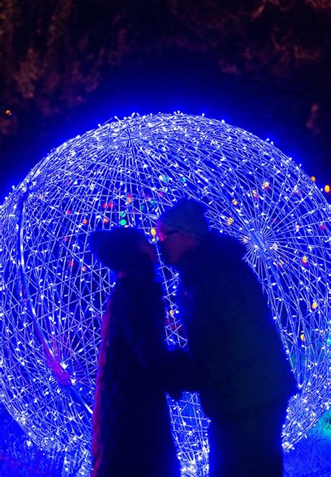 Pop the Question at Blossoms of Light | Denver Botanic Gardens