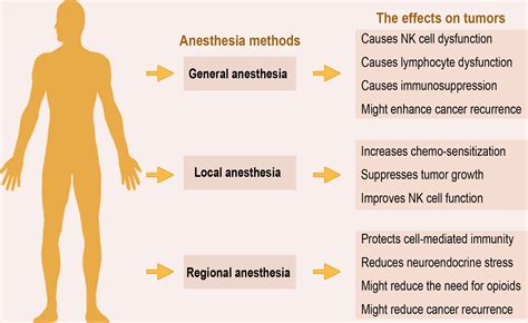 Frontiers | Application of Anesthetics in Cancer Patients: Reviewing ...