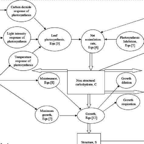 Schematic diagram of the hourly calculations of the dynamic model ...