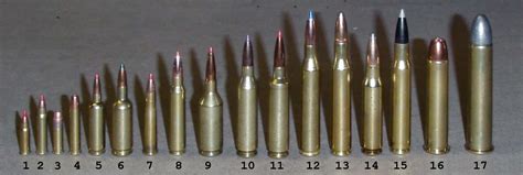 Common Rifle Calibers for Hunting, Competition, Tactical Shooting, and Everything Else 2023