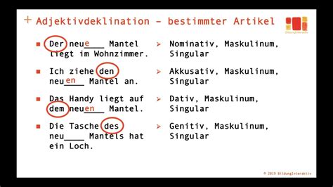 Deutsch lernen - Adjektivdeklination 1 - bestimmter Artikel - YouTube