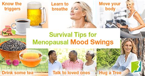 Survival Tips for Menopausal Mood Swings | Menopause Now