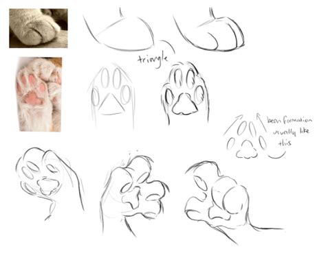 How To Draw Furry Hands – Warehouse of Ideas