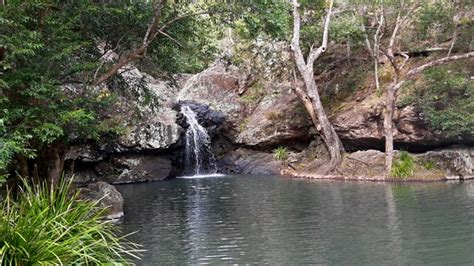 Kondalilla Falls - Blue Summit Cottages Blue Summit Cottages