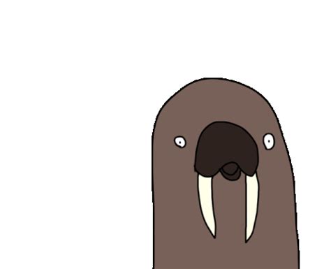 Walrus Dance Sticker - Walrus Dance - Discover & Share GIFs