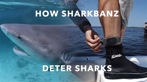 Sharkbanz Technology - How it Works - Proven Shark Deterrent - YouTube