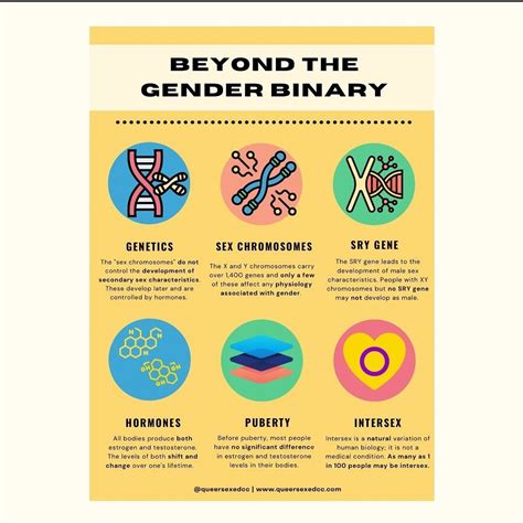 Beyond the Gender Binary — NEXT Distro