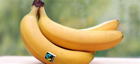 Majority of U.S. consumers willing to pay more for Fairtrade bananas, study finds ...