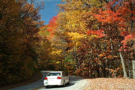 Fall Foliage in Upcountry South Carolina | Upcountry South Carolina