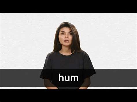 HUM definition and meaning | Collins English Dictionary