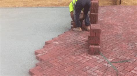 Guy Bricks GIF by ViralHog - Find & Share on GIPHY