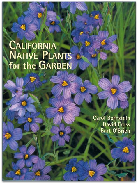 California Native Plants for the Garden | CNPS-SLO