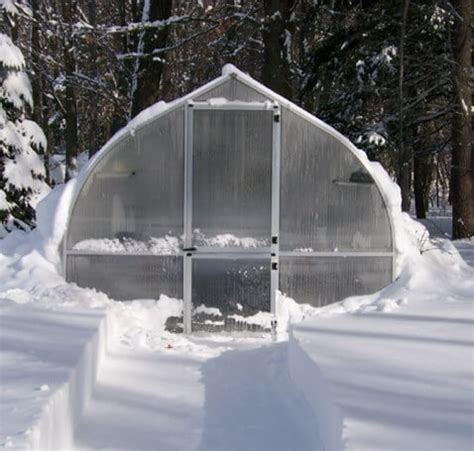 Best Greenhouses for Cold Climates: 4 Worth Buying!