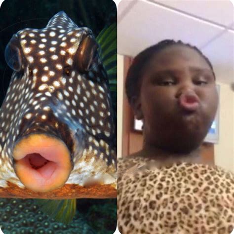 Spotted Pucker Up Fish Lips vs Leopard Print Duck Face Girl Fail - Faxo