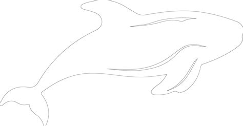 northern right whale outline silhouette 38487120 Vector Art at Vecteezy