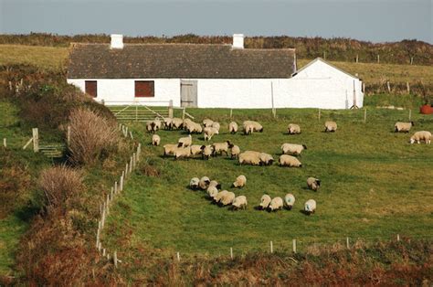 Welsh sheep farm | Flickr - Photo Sharing!