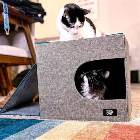 "The Cât-Teau" Collapsible Cat Condo & Scratcher Perfect Travel Bed | Cat condo, Diy cat bed ...