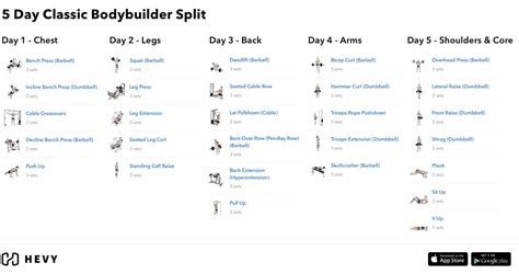 5 Day Split Workout Routine - The Guide (2024) - Hevy Workout Tracker