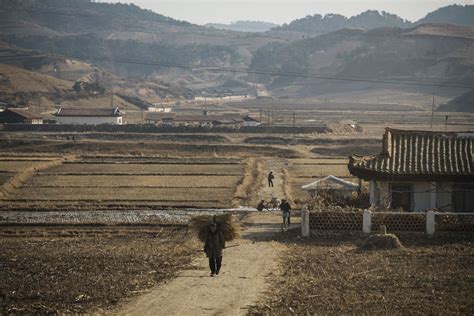 Photos: a rare look at daily life in North Korea’s impoverished rural northeast - Vox