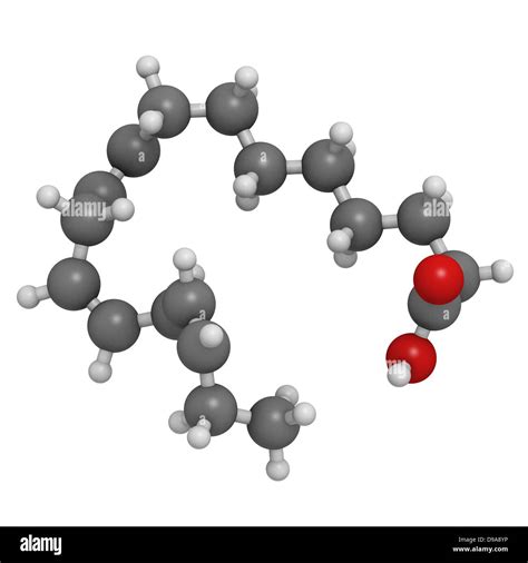 Omega-3 unsaturated fatty acid (alpha-linolenic acid), molecular model Stock Photo - Alamy