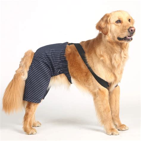 Strip Big large dog wedding garment outfit clothes for bulldogs golden retriever big dog pant ...