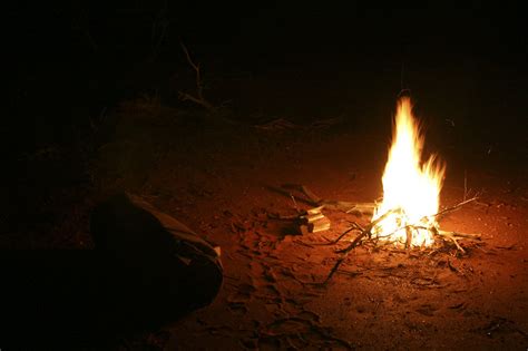 Campfire | Free Stock Photo | Campfire at night | # 17628