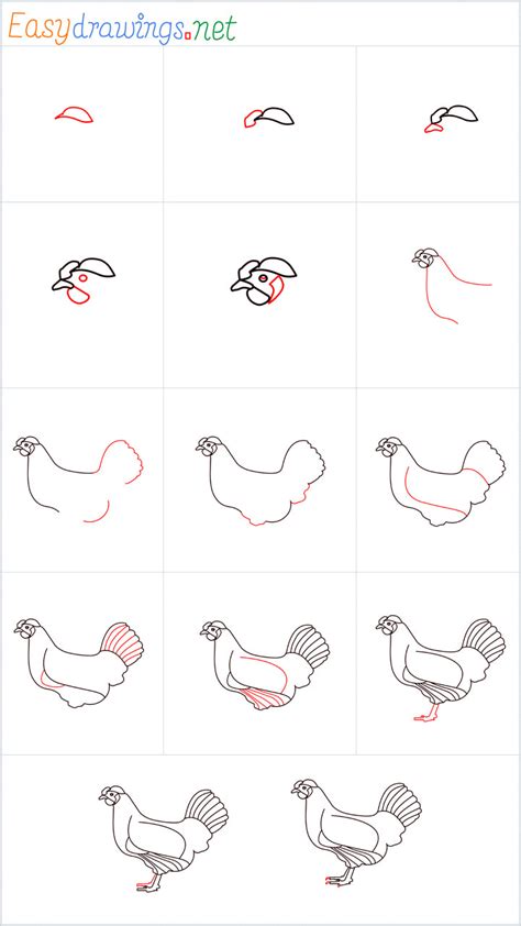 How To Draw A Hen Step by Step - [14 Easy Phase]