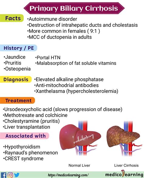 Primary Biliary Cirrhosis Rash