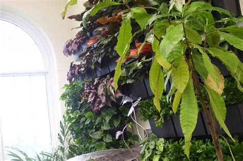 The Butterfly Atrium at Hershey Gardens Indoor Green Wall - LiveWall Green Wall System