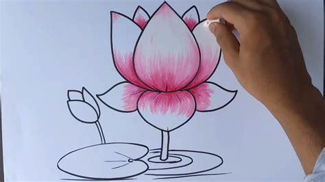 Simple Lotus Flower Drawing | Best Flower Site