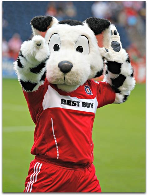 Sparky showing his love for Chicago Fire | Mascotes