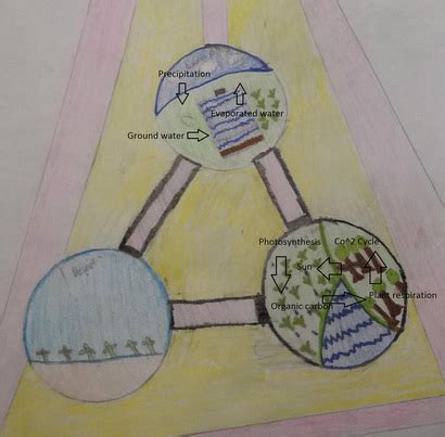 Diagrams - Biosphere