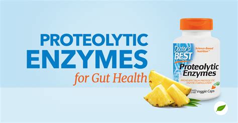 Try Proteolytic Enzymes for Healthy Digestive Function