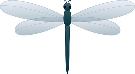 Dragonfly Clipart Pictures – Clipartix