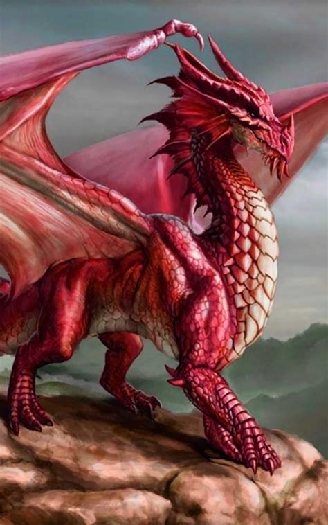 Dragon Wallpaper - Best Cool Dragon Wallpapers APK for Android Download