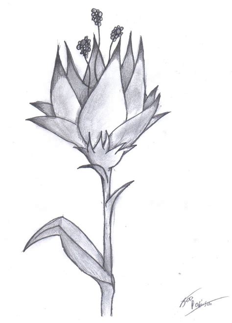 Flower Pencil by darkest-drawings on deviantART | Pencil drawings of flowers, Flower drawing ...