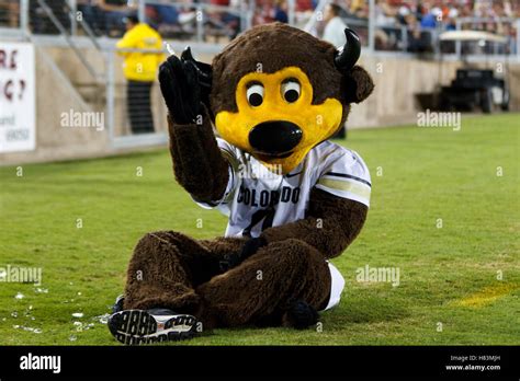 Oct 8, 2011; Stanford CA, USA; The Colorado Buffaloes mascot sits on ...