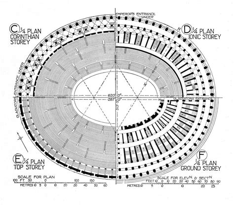 Colosseum: reconstruction plan | Colosseum rome, Amphitheater ...