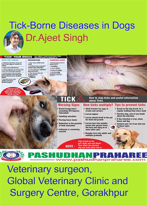 Tick-Borne Diseases in Dogs | Pashudhan praharee