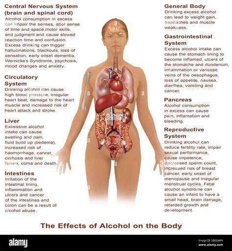 Effects of alcohol hi-res stock photography and images - Alamy