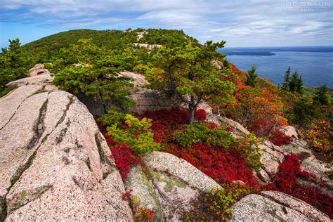 Champlain South Ridge Trail - Joe's Guide to Acadia National Park