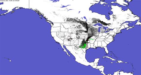 Home Range Shifts for Juniperus_ashei Predicted Under Climatic Change