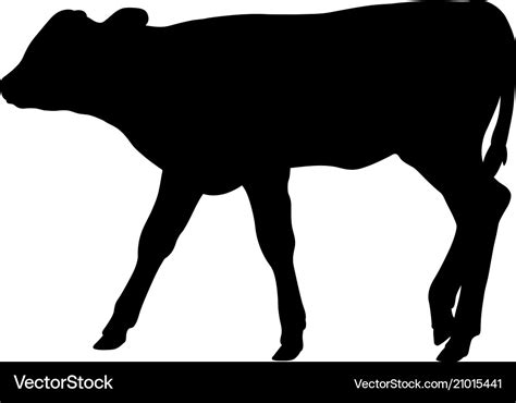 Calf silhouette Royalty Free Vector Image - VectorStock