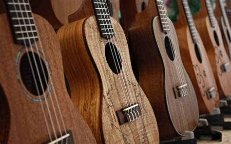 15 Best Ukulele Brands & 16 Best Beginner Ukulele Reviews 2020