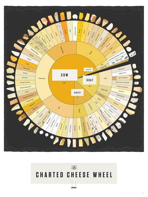 Cheese Wheel Chart for Cheese Lovers [Infographic] » TwistedSifter