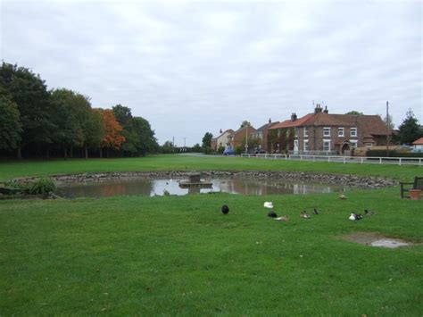 Village pond, Wold Newton © JThomas cc-by-sa/2.0 :: Geograph Britain and Ireland